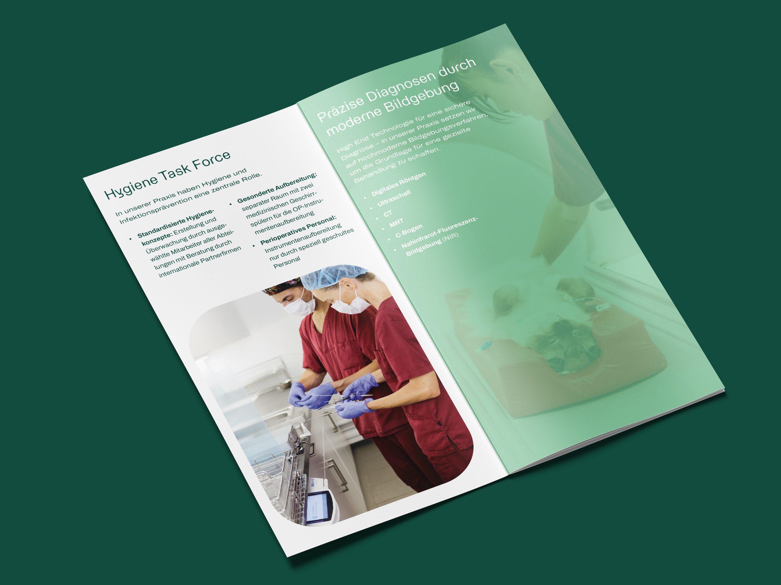 V01_TAPS_Folder_Mockup